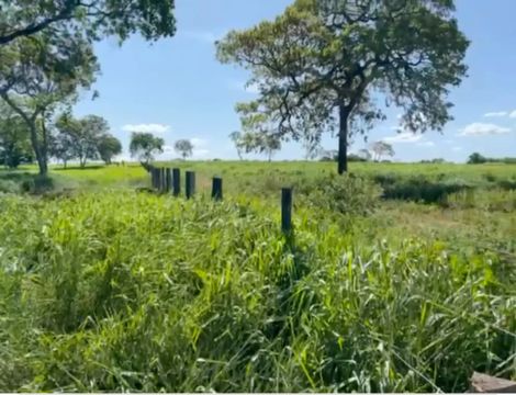 Fazenda 150 Hect.  Aquidauana 