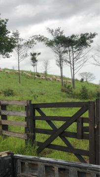 Fazenda de oportunidade 