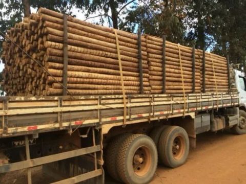 mourões para cerca tratados  na espessura de 6 a   8 cms
