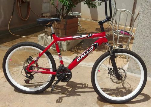 Bicicleta Gallo Aro 26
