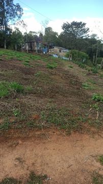 Vendo ou troco 4 terrenos de 250m² a 70 metros da BR 381