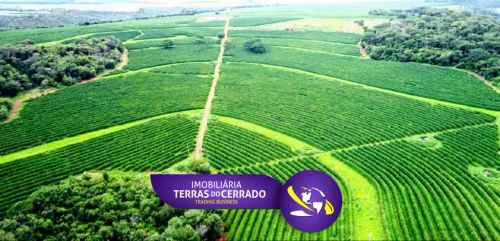 FAZENDA COM 620 HECTARES PRA DE CAFE DE ALTA QUALIDADE, TIPO EXPORTACAO!!