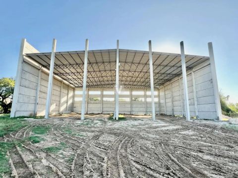 Amplo pavilhão á 100 metros da Br para locação.