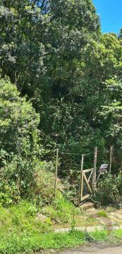 Terreno de 5410.39m² no bairro Saco Dos Limões