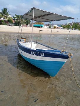 BARCO DE FIBRA 