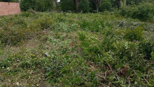 Terreno para fazer área para descanso no bairro  do maracujá 