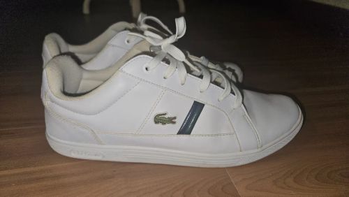 Tenis Lacoste Europa Orginal 