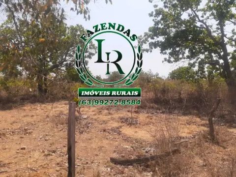 Fazenda 282 Alqueires Bruta Tocantins Oportunidade