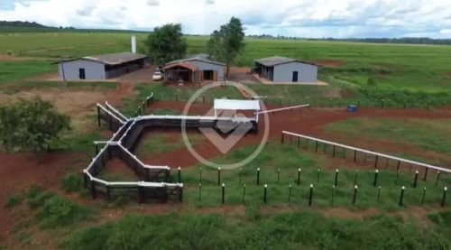 Haras Completo com Ótima Localização e Estrutura. codigo: 108926