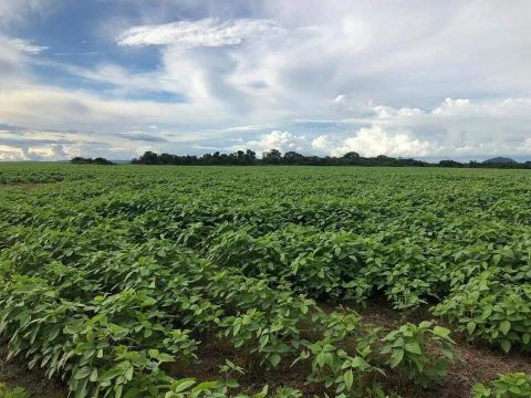 Fazenda à venda, Área rural de Confresa - Confresa/MT