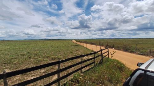VENDO EXCELENTE PROPRIEDADE  NA ZONA RURAL DE ANADIA!! COM 73 TAREFAS!!