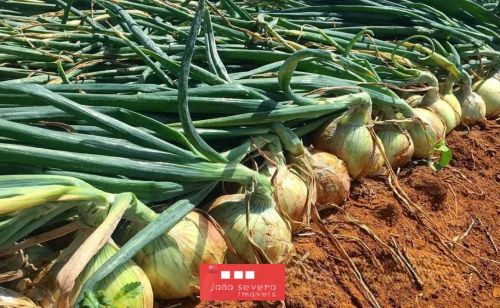 Fazenda para Venda em Itaguaçu da Bahia