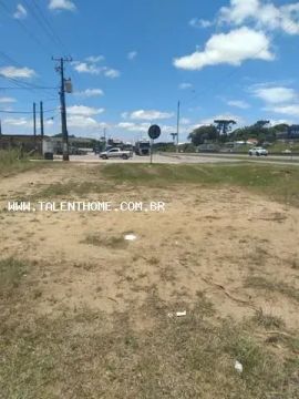 Terreno para Venda em Tijucas do Sul