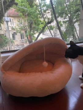 Cama para Seu Pet 