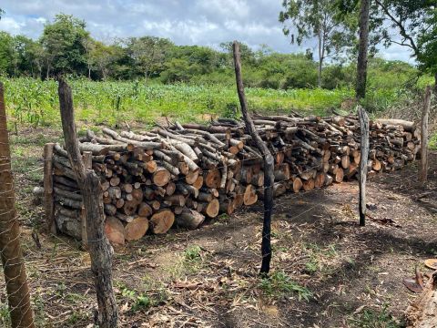 Lenha para venda