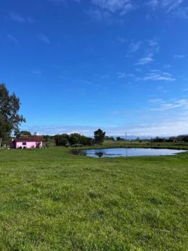 Belíssima chácara em Taquara  RS com excelente campo para pecuária