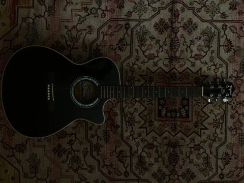 Violão elétrico tagima tw29 