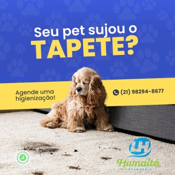 Limpeza e Higienização de Tapetes