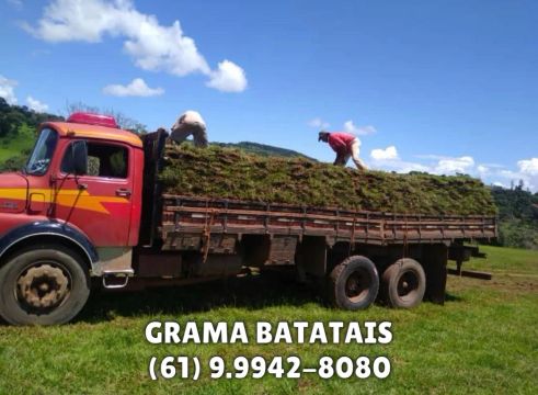 GRAMA BATATAIS 