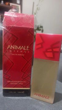 Perfume Animale Intense - 50ml