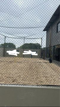 Arena completa 