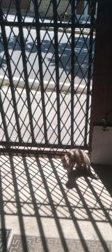 Porta de grade em aço para proteção