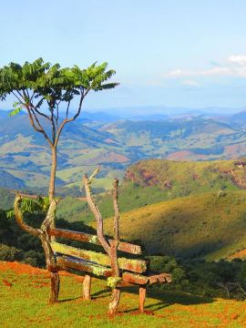 Terreno perfeito para morar ou investir