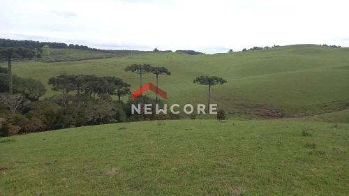 Lote em Est Hugo Hoffmann - Interior - Zona Rural - São Francisco de Paula/RS