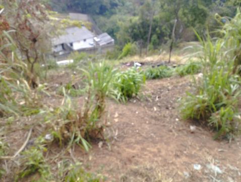Terreno com vista espetacular!