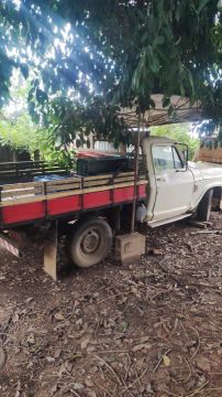 C10 RELIQUIA
