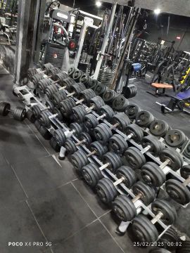 Lote de equipamentos de musculação 