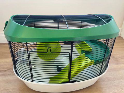 Gaiola para Hamster - Seminova
