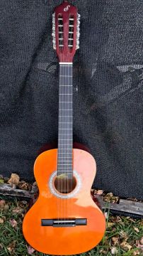 Viola 12 cordas aço 