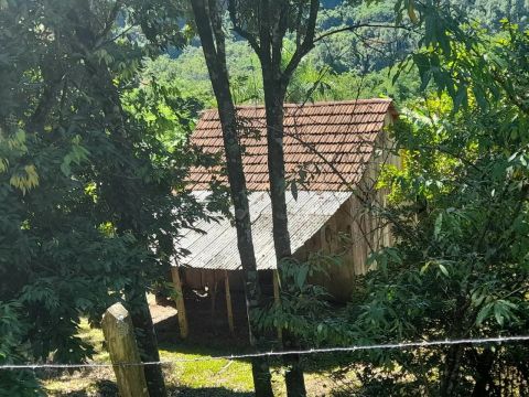Sítio em Estrada geral da Carapina - Vale do Carapina - São Francisco de Paula/RS