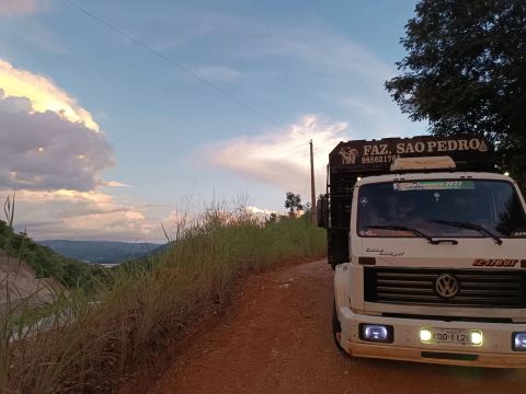 Caminhão boiadeiro toco 