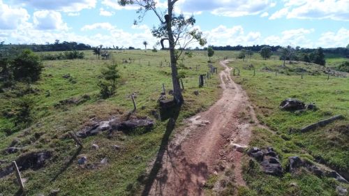 FAZENDA PECUÁRIA ALTAMENTE PRODUTIVA