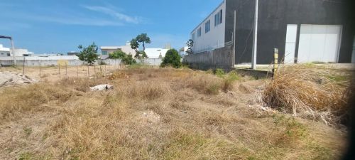 ALUGO ESPAÇO P/ COLOCAÇÃO DE OUTODOR/ LITORAL SUL