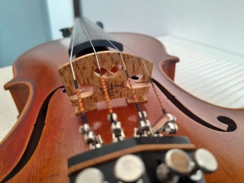 Violino Liliu 2013