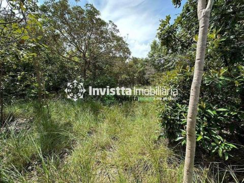 Terreno Comercial à venda, , - TE0706.