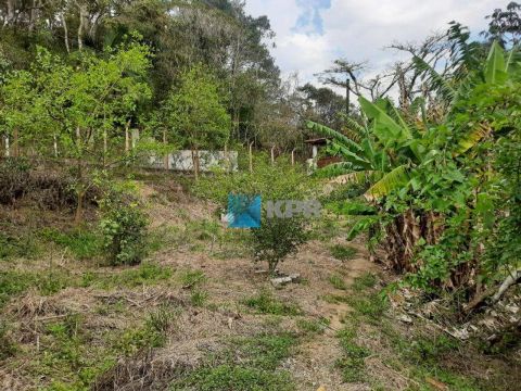 Terreno à venda, 5000 m² por R$ 1.000.000,00 - Jardim Torrão de Ouro - São José dos Campos
