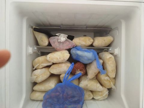Polpa de Bacuri
