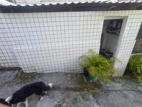 Imóvel 1/4 para alugar em Brotas