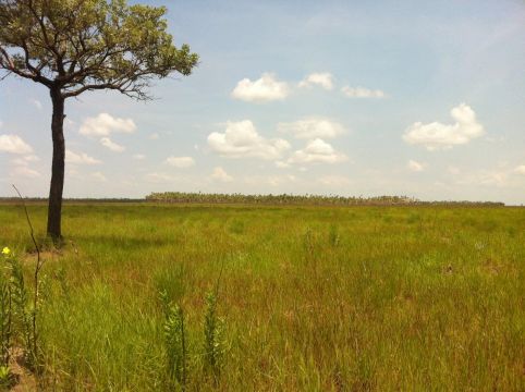 Imóvel para venda com  metros quadrados em Área Rural de Corumbá - Corumbá - MS