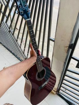 Violão Giannini Elétrico + acessórios 