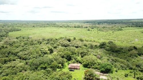Vendo propriedade rural com 160 hectares - Curimatá/PI