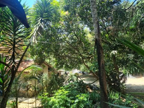 Área à venda, 7771 m² por R$ 1.600.000,00 - Jardim Nova Coimbra - Cotia/SP