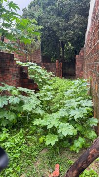 TERRENO NO PLANALTO 5x *36