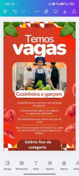 Cozinheira e garçom 