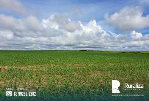Fazenda no Mato Grosso, em exploração agrícola, às margens da rodovia MT 249