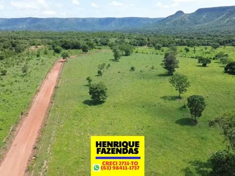Imóvel em Palmas capital pra venda 75 alqueires terra de dupla aptidão planta nela 28 alqu